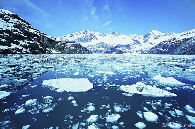 Vẻ đẹp diệu kỳ của thiên nhiên ở vườn quốc gia Glacier Bay